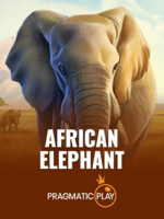Review African Elephant Terlengkap untuk Pemain Baru banner