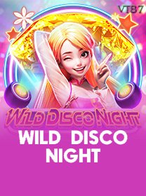 Wild Disco Night game cover